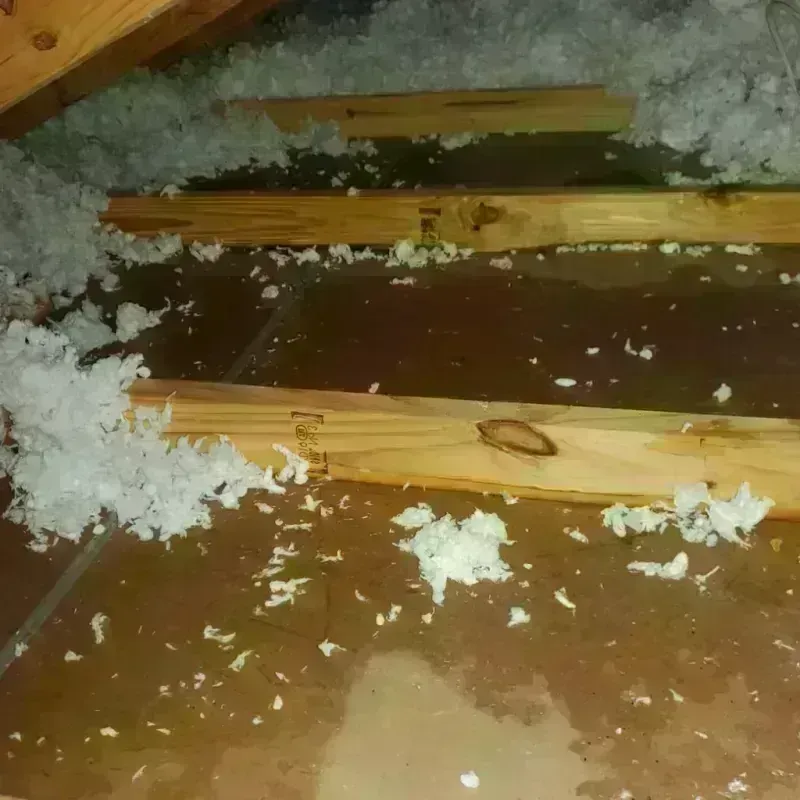 Attic Water Damage in Harding County, NM